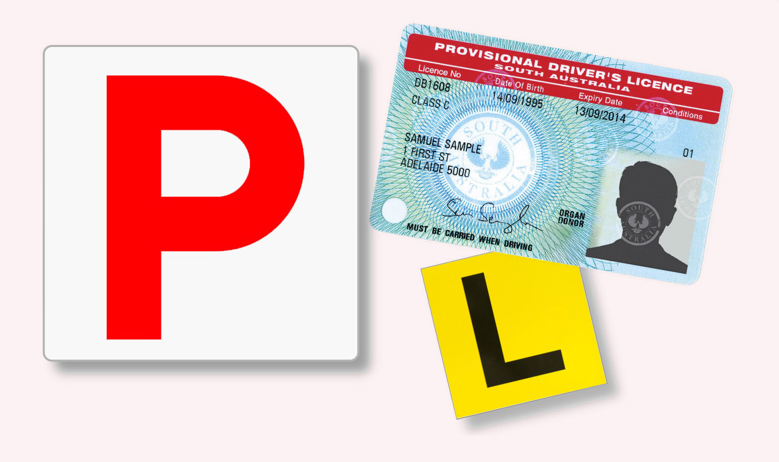 P L License image